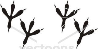 Bird Claw print Silhouette - Bird - Animals - Buy Clip Art | Buy  Illustrations Vector | Royalty Free