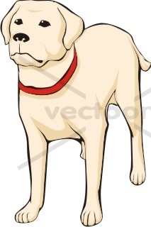 Cute Yellow Labrador Dog Cartoon - Standing - Dog - Animals - Buy Clip Art  | Buy Illustrations Vector | Royalty Free