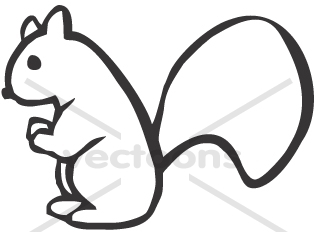 Simple YOUNG SQUIRREL Illustration in Sketch Style - Animals - Buy Clip Art  | Buy Illustrations Vector | Royalty Free